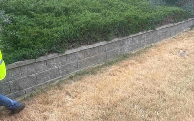 Photo of Colleen R.'s yard after getting landscaping in Empire, CO