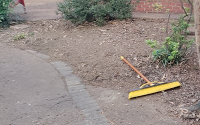 Photo of Dan P.'s yard after getting landscaping in Senatobia, MS
