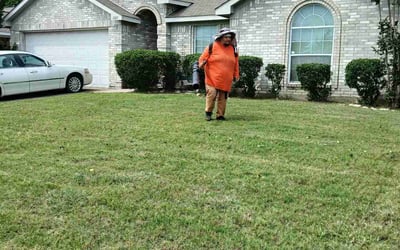 Photo of Michael B.'s yard after getting landscaping in Mansfield, TX