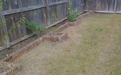 Photo of Kim G.'s yard after getting landscaping in San Felipe, TX