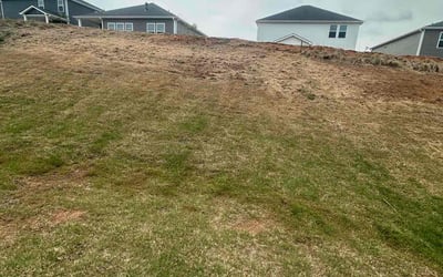 Photo of Michael C.'s yard after getting landscaping in Greer, SC