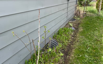 Photo of Andrea S.'s yard after getting landscaping in Oregonia, OH