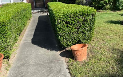 Photo of RAGSDALE, J.'s yard after getting landscaping in Burlington, NC