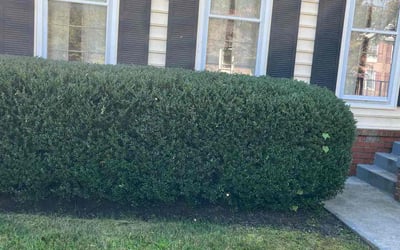 Photo of Stephen B.'s yard after getting landscaping in Poolesville, MD