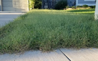Photo of Marcia C.'s yard after getting landscaping in Pleasanton, KS