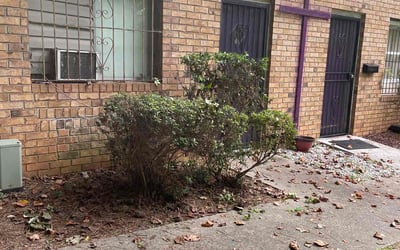 Photo of Hyun C.'s yard after getting tree care in Atlanta, GA