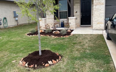 Photo of Jennifer M.'s yard after getting landscaping in Sutherland Springs, TX