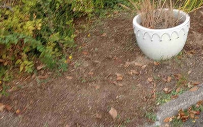 Photo of Eric W.'s yard after getting landscaping in Orting, WA