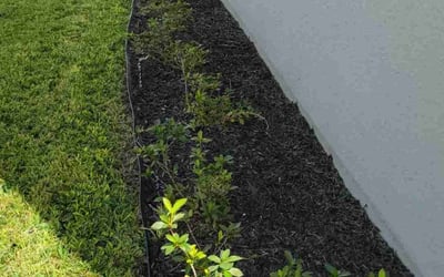 Photo of Aaron S.'s yard after getting landscaping in Highland City, FL