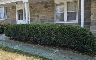 Photo of James W.'s yard after getting landscaping in Bel Alton, MD