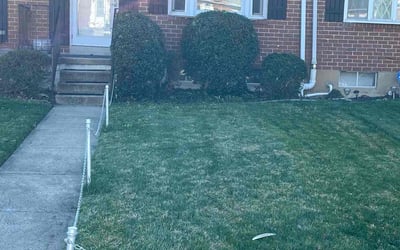 Photo of Denise M.'s yard after getting landscaping in Halethorpe, MD