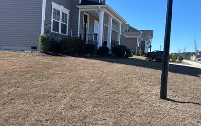 Photo of Eric R.'s yard after getting landscaping in Bunn, NC