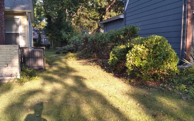 Photo of Nellie M. M.'s yard after getting landscaping in Bates City, MO