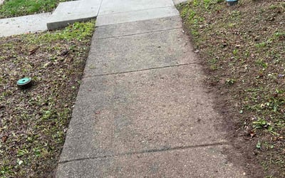 Photo of Michael W.'s yard after getting landscaping in Columbia, MD