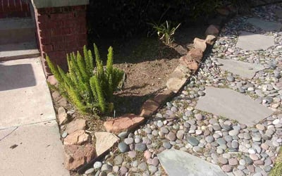 Photo of Susanne S.'s yard after getting tree care in Magnolia, TX