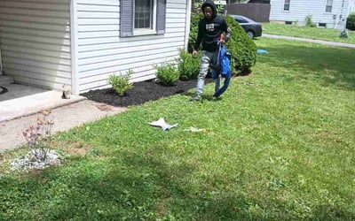 Photo of Deborah T.'s yard after getting landscaping in Rising Sun, IN
