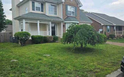Photo of Andrea D.'s yard after getting landscaping in Mount Pleasant, TN