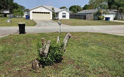 Photo of Amanda M.'s yard after getting landscaping in Palm Bay, FL