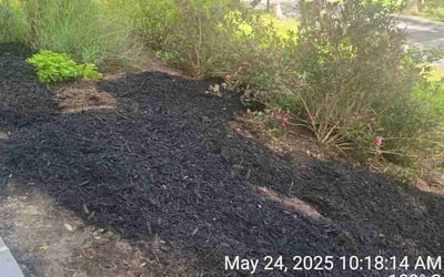 Photo of Jessica P.'s yard after getting landscaping in Malvern, PA
