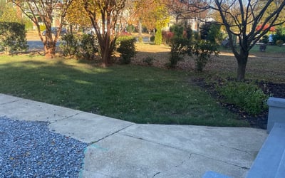 Photo of William R.'s yard after getting landscaping in Dewitt, VA