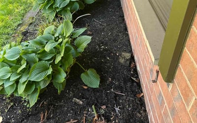 Photo of Constance M.'s yard after getting landscaping in Columbia, MD