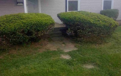 Photo of Michael W.'s yard after getting landscaping in Glenford, OH