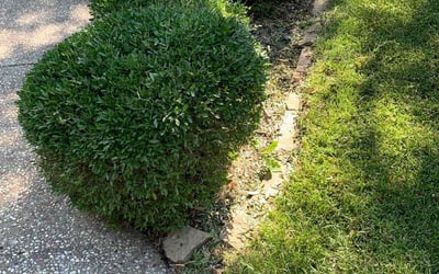 Photo of Kenneth L.'s yard after getting landscaping in Nevada, TX