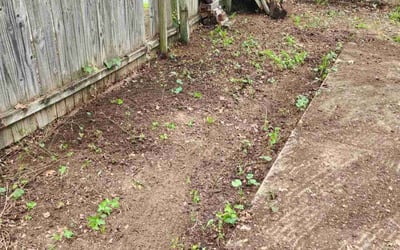 Photo of Tami G.'s yard after getting landscaping in Fort Worth, TX