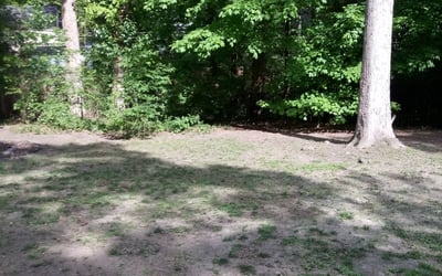 Photo of Carol S.'s yard after getting landscaping in Providence Forge, VA