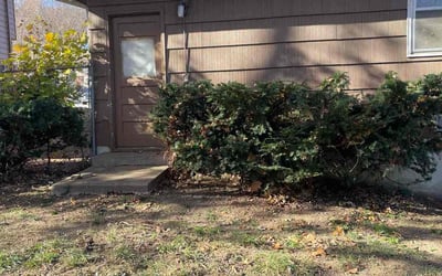 Photo of Robert M.'s yard after getting landscaping in Parker, KS