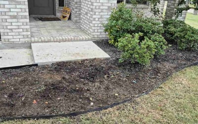 Photo of Cathleen N.'s yard after getting tree care in Cleburne, TX