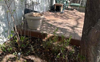 Photo of Tanya N.'s yard after getting landscaping in Louviers, CO