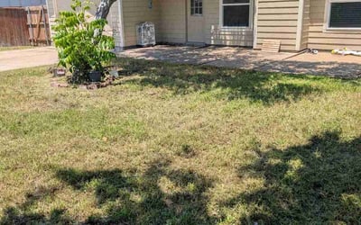 Photo of Amanda C.'s yard after getting landscaping in Garland, TX