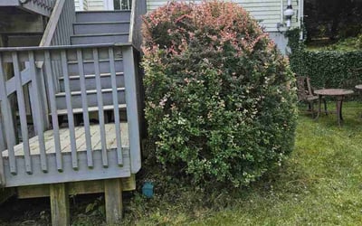 Photo of David G.'s yard after getting landscaping in Blauvelt, NY