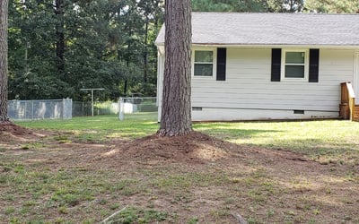 Photo of Sheila J.'s yard after getting tree care in Glen Allen, VA