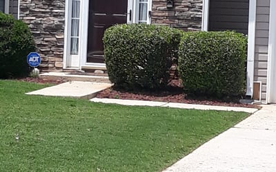 Photo of Damien K.'s yard after getting tree care in Temple, GA