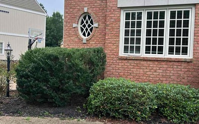 Photo of Katrina H.'s yard after getting tree care in Glen Allen, VA