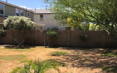 Photo of Mary M.'s yard after getting landscaping in Mammoth, AZ