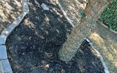 Photo of Cameron N.'s yard after getting landscaping in Thrall, TX