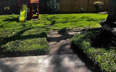 Photo of Lisa D.'s yard after getting landscaping in Lake Jackson, TX