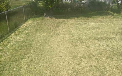 Photo of Rhonda S.'s yard after getting landscaping in Woodbine, MD
