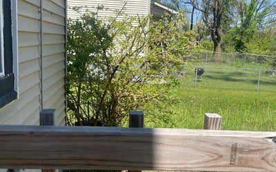 Photo of Ethan H.'s yard after getting landscaping in Detroit, MI