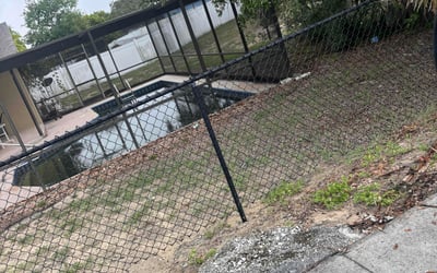 Photo of Violeta G.'s yard after getting tree care in Pinellas Park, FL