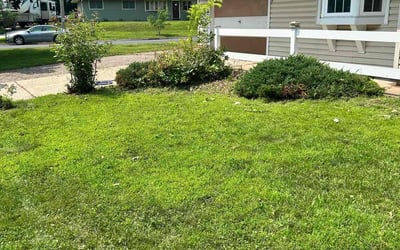Photo of Donna C.'s yard after getting tree care in Hugo, MN