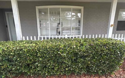 Photo of Tasha B.'s yard after getting landscaping in Valrico, FL