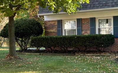 Photo of Brian M.'s yard after getting landscaping in Romeo, MI