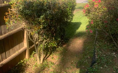 Photo of Michaela W.'s yard after getting landscaping in Lithonia, GA