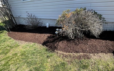Photo of Rosa L.'s yard after getting tree care in Warrenton, VA