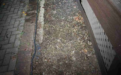 Photo of Mike D.'s yard after getting landscaping in Gainesville, VA