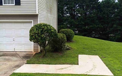 Photo of Rushia C.'s yard after getting tree care in Union City, GA